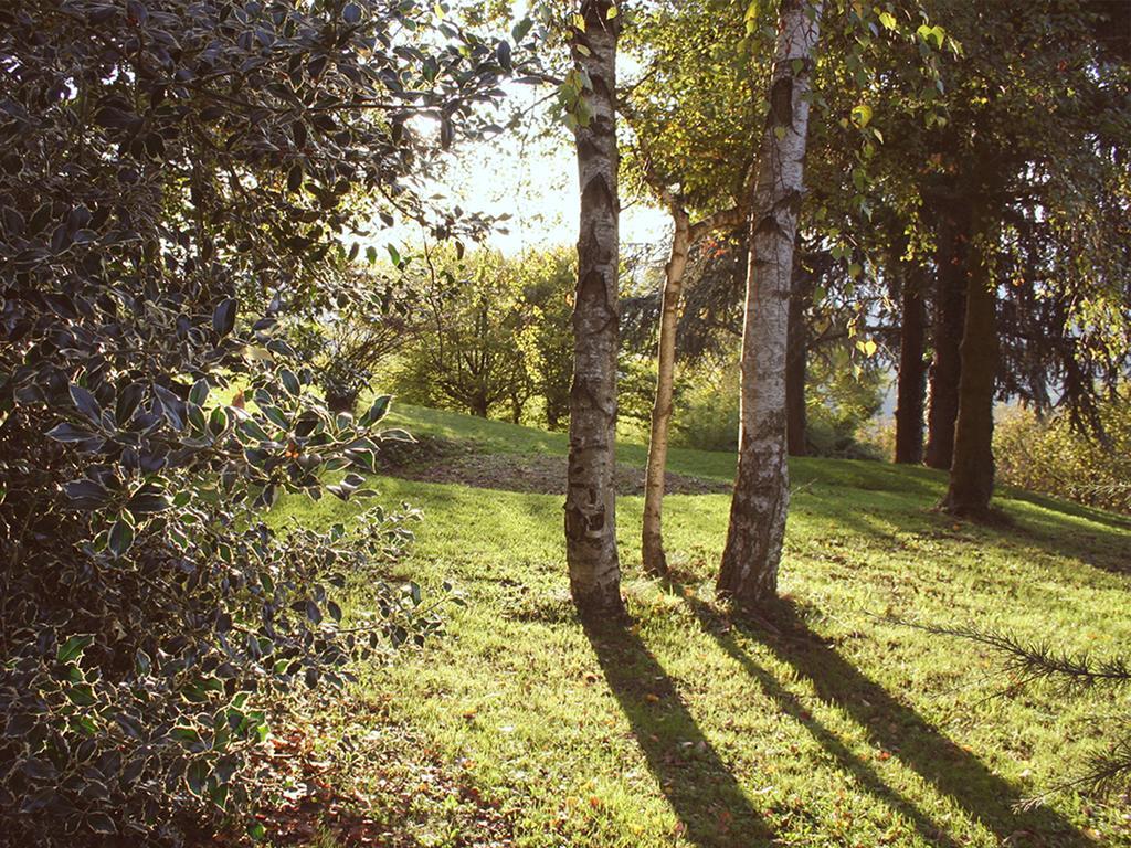 Cascina Langa Guest House Trezzo Tinella Luaran gambar